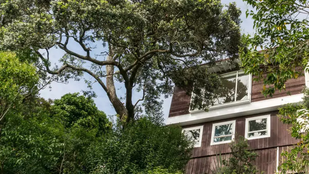 How Close Should Trees Be To Your House How Close Should Trees be to Your House? (and Roof)